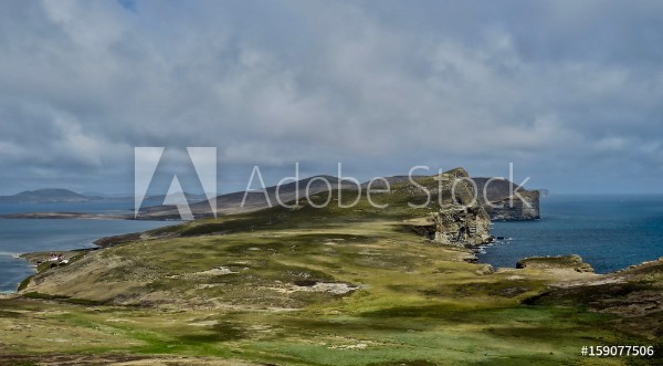 Bild på Falklandinseln New Island